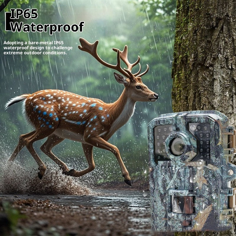 Hidden HD Animal Monitoring Camera Outdoor Waterproof Field Camera Infrared Induction Orchard Camera DL003