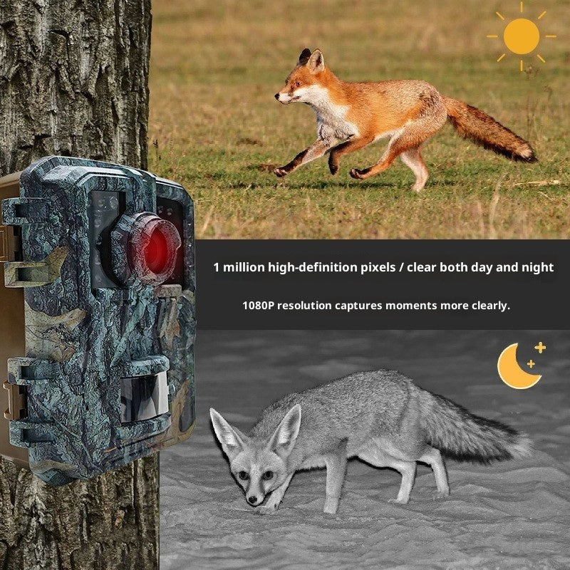 Hidden HD Animal Monitoring Camera Outdoor Waterproof Field Camera Infrared Induction Orchard Camera DL003