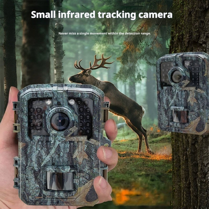 Hidden HD Animal Monitoring Camera Outdoor Waterproof Field Camera Infrared Induction Orchard Camera DL003